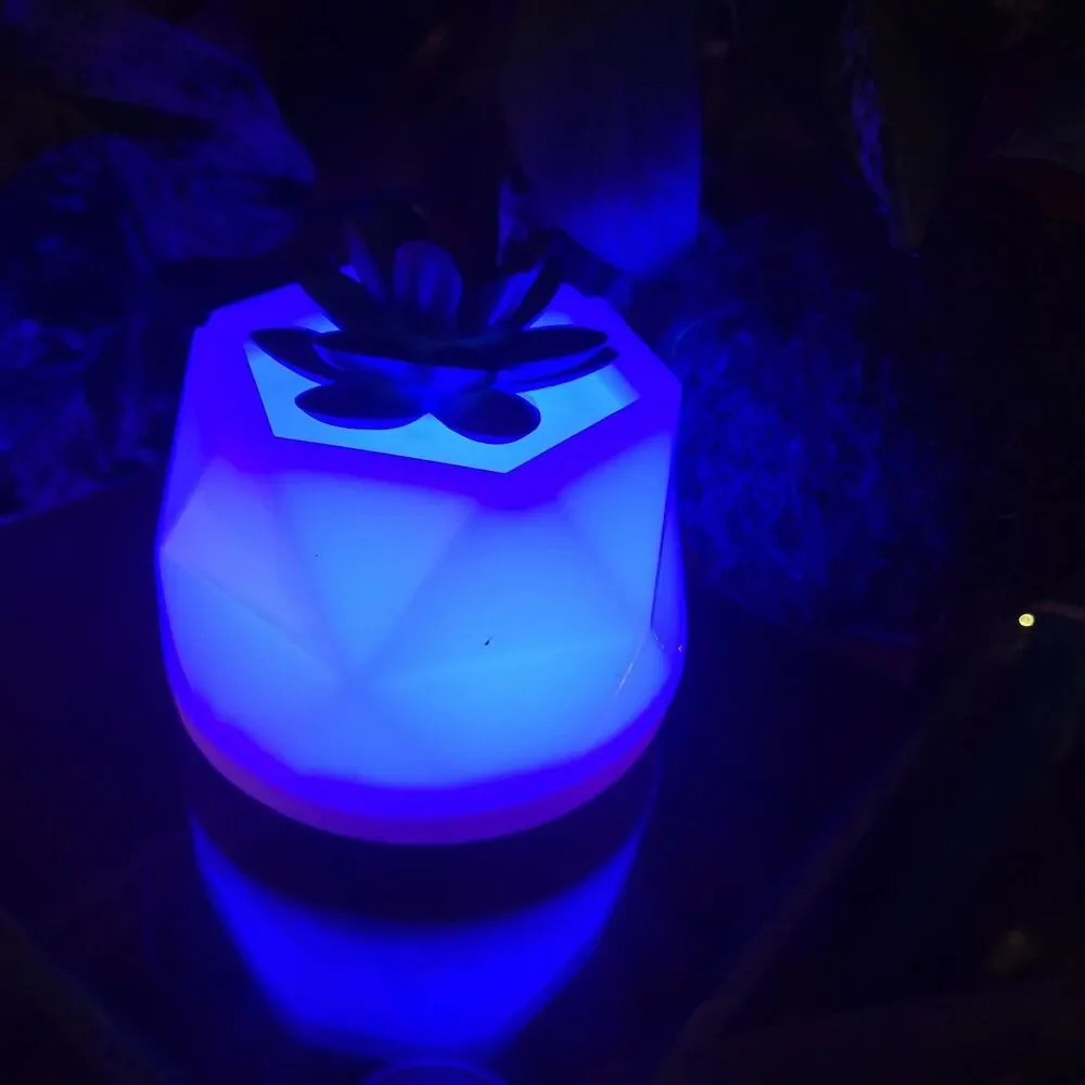 Succulent Color-Changing Night Light Lamp Waterless Essential Oil Diffuser Aroma